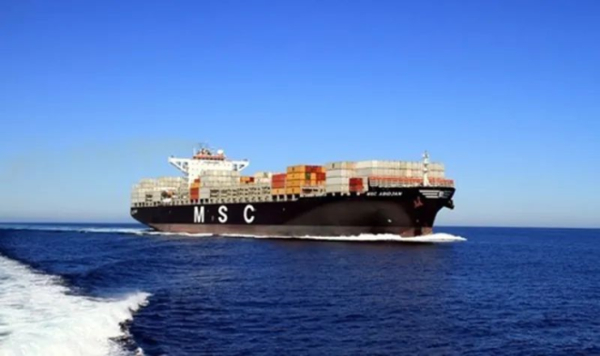 MSC1.jpg